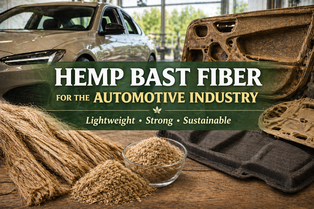 Hemp Bast Fiber for Automotive Applications: Lightweight, Strong, and Sustainable