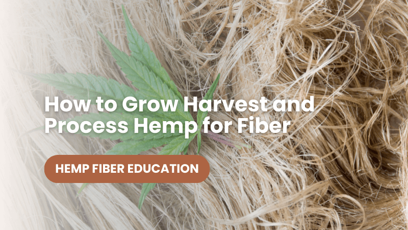 How to Make Hemp Fiber