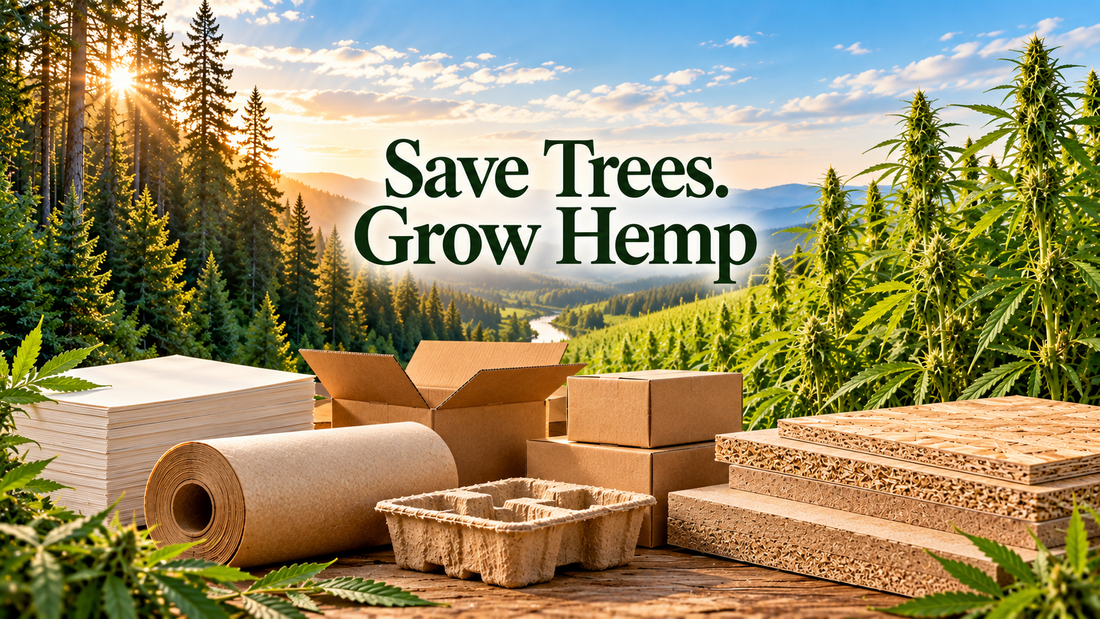Save Trees. Grow Hemp. How Industrial Hemp Can Help Protect Our Forests