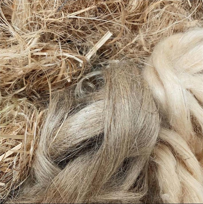 Hemp Bast Fiber