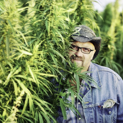 ORDER#: SEED-03-PALLET American Hemp Grain Planting Seeds, Volume Pricing