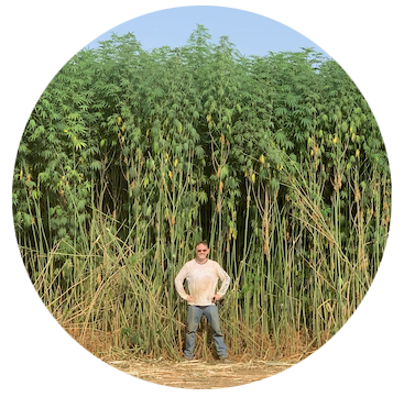 ORDER#: SEED-04B Han NE Chinese Fiber Planting Seed, Pound Pricing