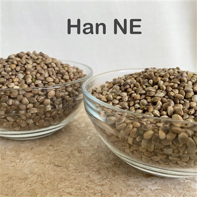 ORDER#: SEED-04B Han NE Chinese Fiber Planting Seed, Pound Pricing