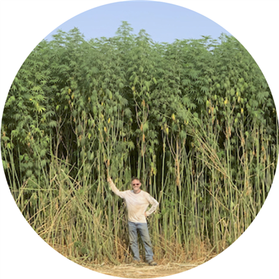 ORDER#: SEED-04G Yuma-8 - Chinese Fibe/Grain Planting Seed, Lower latitude Range