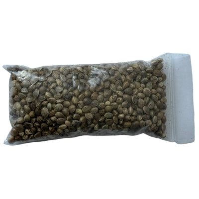 ORDER#: SEED-04G YUMA-8 Chinese Fiber/Grain Planting Seed, Sample 1 oz.